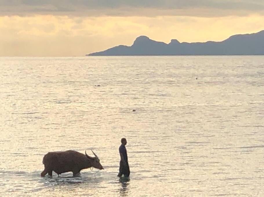 Five Islands Beach House Samui 苏梅岛 外观 照片